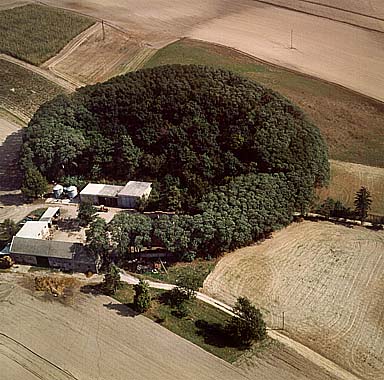 air_dzierznica1.JPG - 52487 Bytes