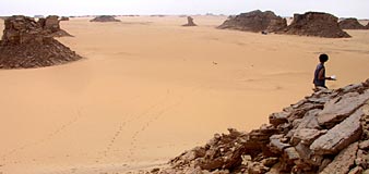 In search of prehistoric Saharan art. The Petroglyph's Decoding