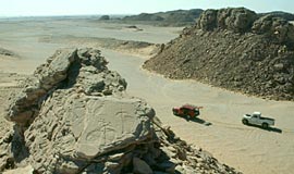 In search of prehistoric Saharan art. The Petroglyph's Decoding