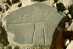 In search of prehistoric Saharan art. The Petroglyph's Decoding