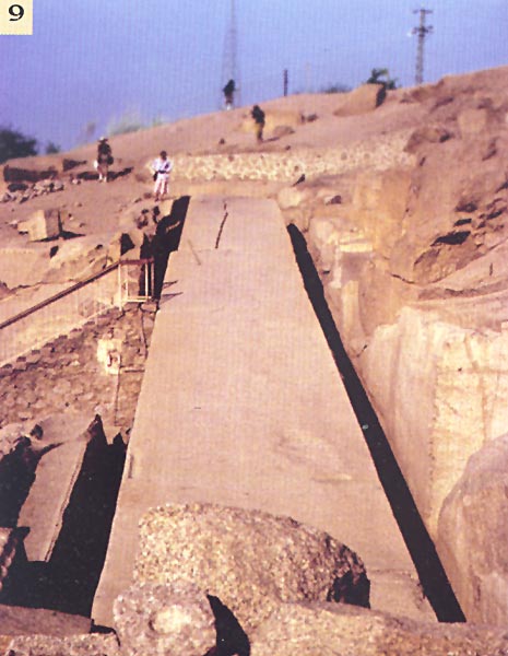 Obelisk of Ramesses II in the Museum's courtyard