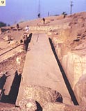 Obelisk of Ramesses II in the Museum's courtyard