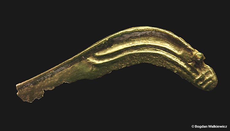Prehistory of Wielkopolska (Greater Poland) - Bronze & Dawn of Iron Age