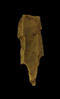Prehistory of Wielkopolska (Greater Poland) - Palaeolithic