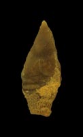 Prehistory of Wielkopolska (Greater Poland) - Palaeolithic